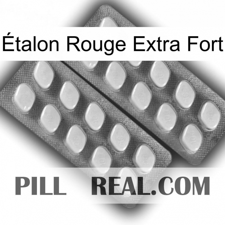 Étalon Rouge Extra Fort 07
